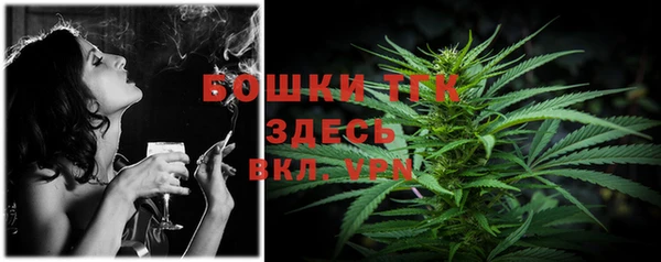 шишки Няндома