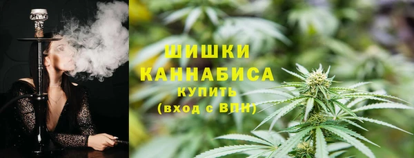 шишки Няндома