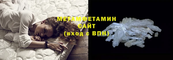 шишки Няндома
