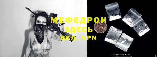 шишки Няндома