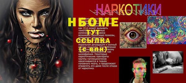 шишки Няндома
