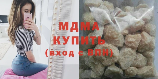 шишки Няндома