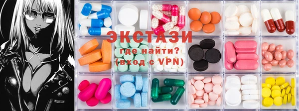 шишки Няндома