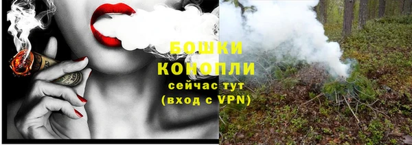 шишки Няндома