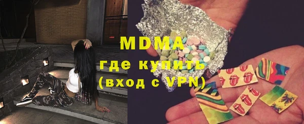шишки Няндома