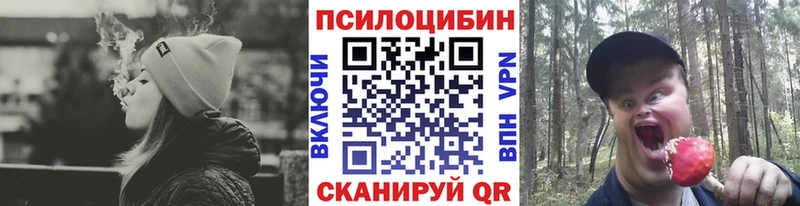 Галлюциногенные грибы Psilocybine cubensis  Карачев 